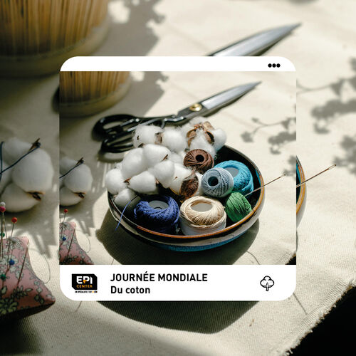 JOURN&Eacute;E MONDIALE DU COTON