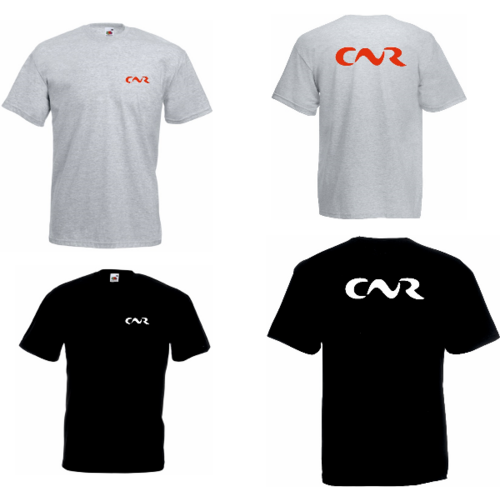 T-SHIRT HOMME VALUEWEIGHT MANCHES COURTES - 3XL+4XL+5XL